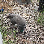 Picture 040
